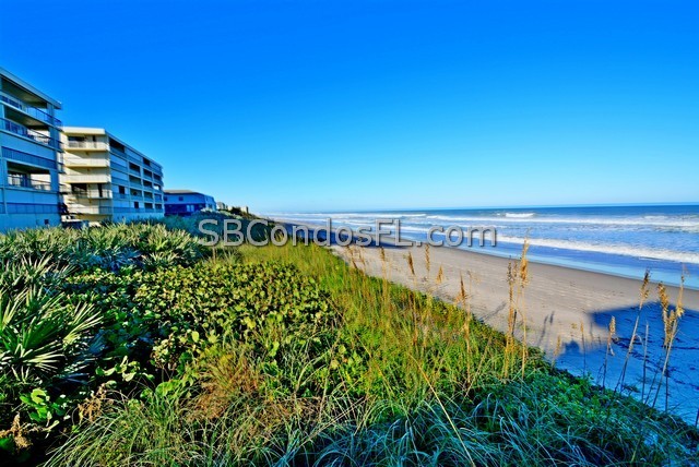 Oceanfront Condos Terry Palmiter RE/MAX