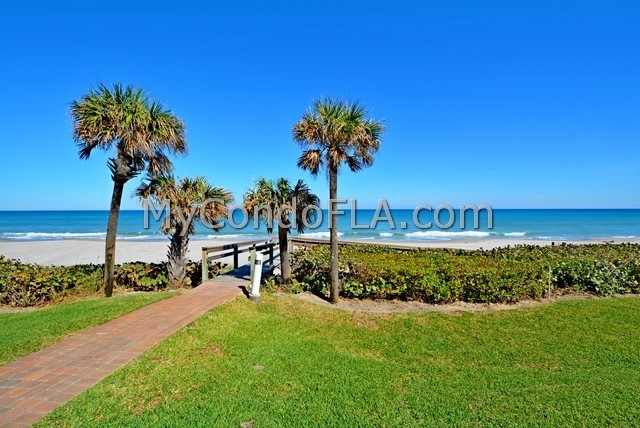 Oceanfront Condos Terry Palmiter RE/MAX