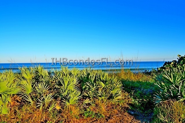 Oceanfront Condos Terry Palmiter RE/MAX