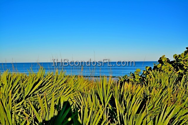 Oceanfront Condos Terry Palmiter RE/MAX