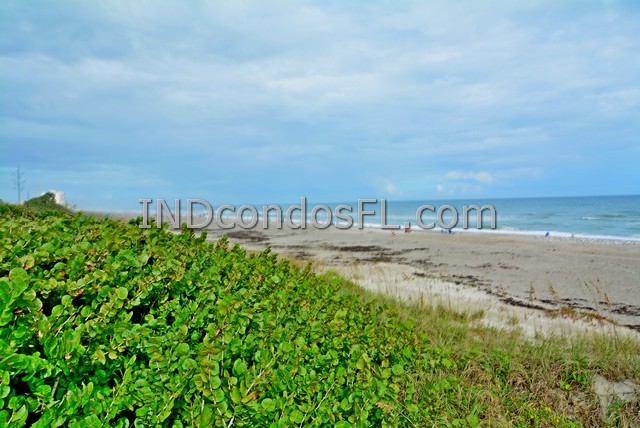 Oceanfront Condos Terry Palmiter RE/MAX
