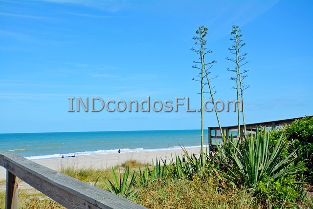 Oceanfront Condos Terry Palmiter RE/MAX