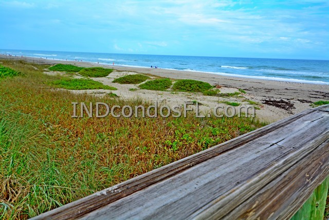 Oceanfront Condos Terry Palmiter RE/MAX