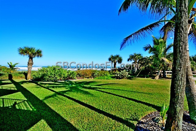 Oceanfront Condos Terry Palmiter RE/MAX