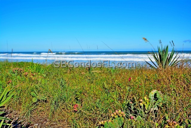 Oceanfront Condos Terry Palmiter RE/MAX