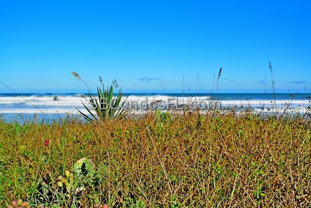 Oceanfront Condos Terry Palmiter RE/MAX