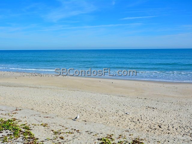 Oceanfront Condos Terry Palmiter RE/MAX
