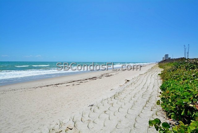 Oceanfront Condos Terry Palmiter RE/MAX