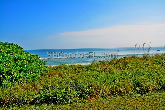 Oceanfront Condos Terry Palmiter RE/MAX