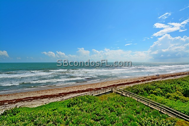 Oceanfront Condos Terry Palmiter RE/MAX