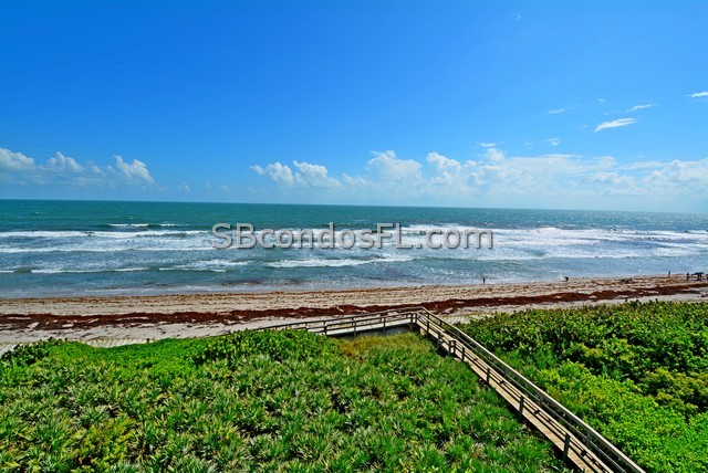 Oceanfront Condos Terry Palmiter RE/MAX