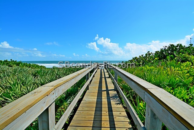Oceanfront Condos Terry Palmiter RE/MAX