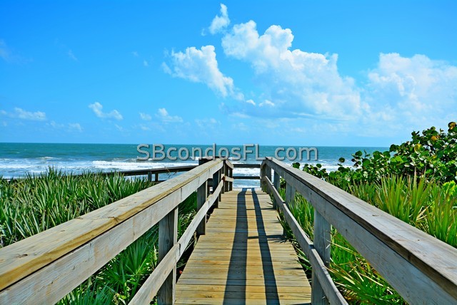 Oceanfront Condos Terry Palmiter RE/MAX