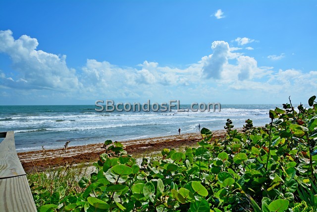 Oceanfront Condos Terry Palmiter RE/MAX