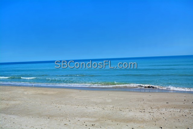 Oceanfront Condos Terry Palmiter RE/MAX