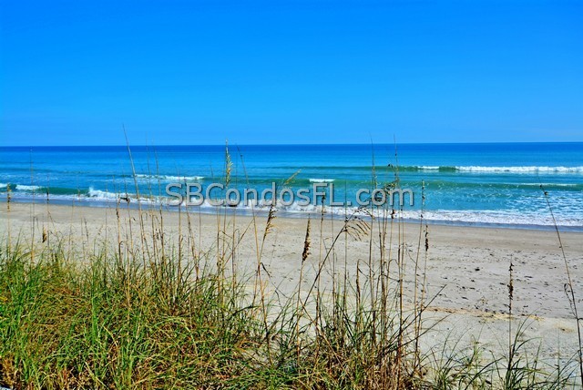 Oceanfront Condos Terry Palmiter RE/MAX