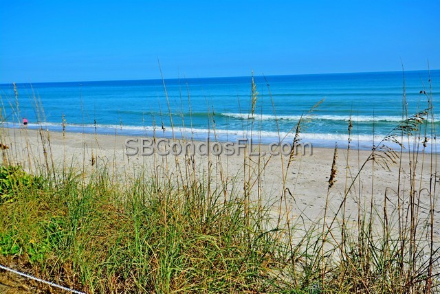 Oceanfront Condos Terry Palmiter RE/MAX