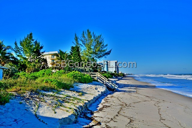 Oceanfront Condos Terry Palmiter RE/MAX