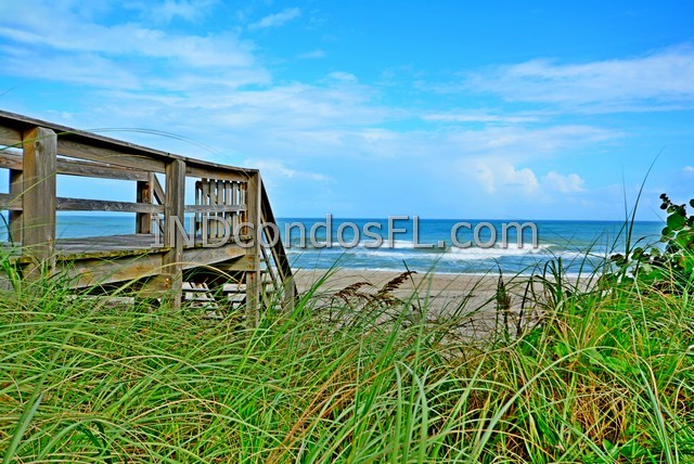 Oceanfront Condos Terry Palmiter RE/MAX