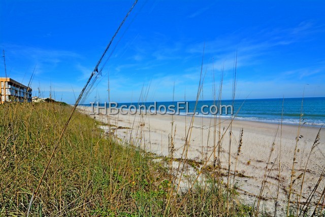 Oceanfront Condos Terry Palmiter RE/MAX