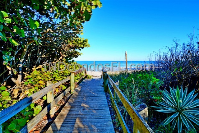 Oceanfront Condos Terry Palmiter RE/MAX