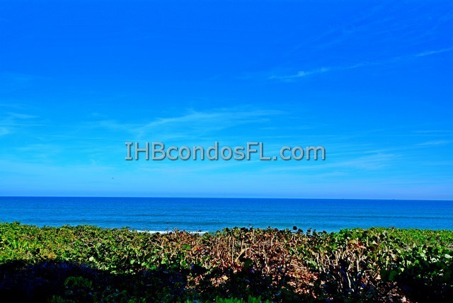 Oceanfront Condos Terry Palmiter RE/MAX