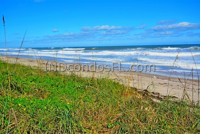 Oceanfront Condos Terry Palmiter RE/MAX