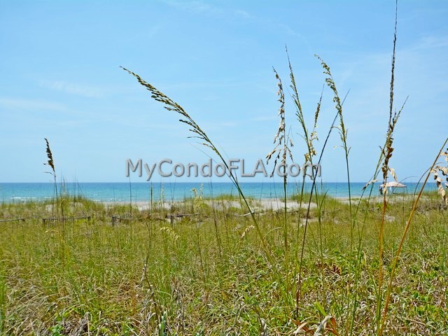 Artesia Condo Cape Canaveral FL Terry Palmiter