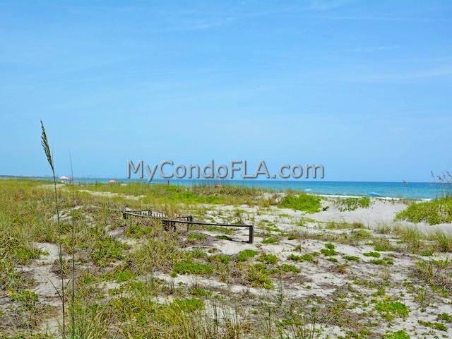 Cape Winds Cape Canaveral FL Terry Palmiter