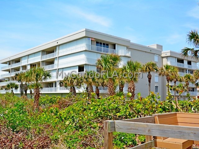 Sand Dunes Cape Canaveral FL Terry Palmiter
