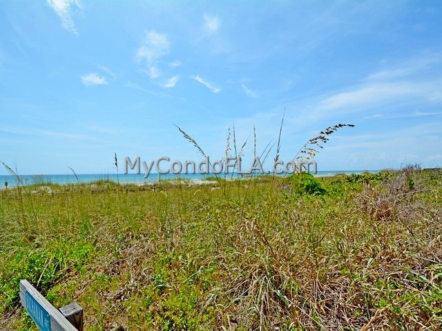 Sand Dunes Cape Canaveral FL Terry Palmiter