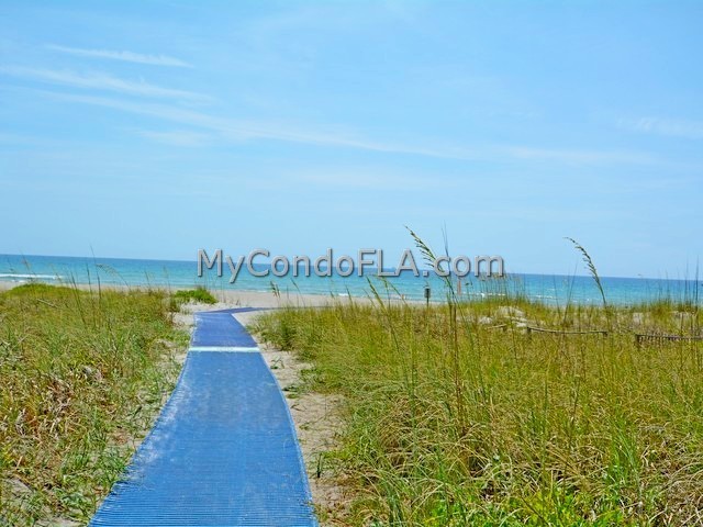 Sand Dunes Cape Canaveral FL Terry Palmiter