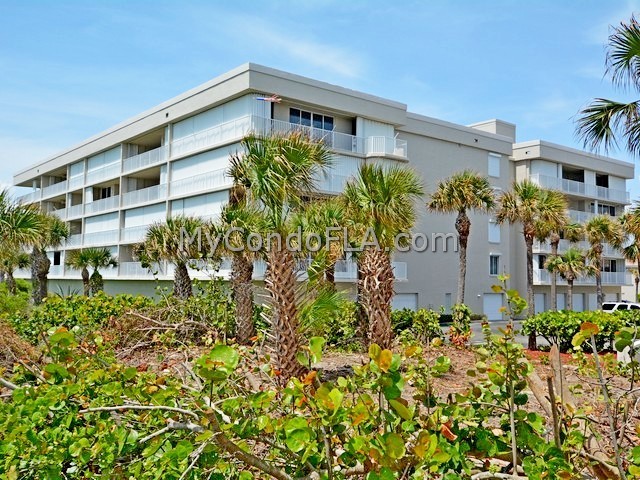 Sand Dunes Cape Canaveral FL Terry Palmiter