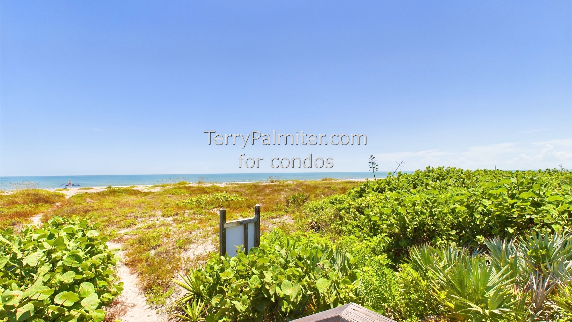 Seaport Oceanfront condo building
