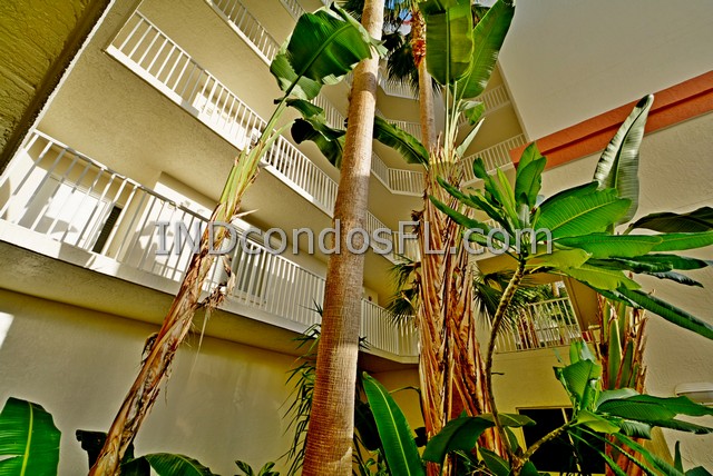 Majestic Shores Condo Indialantic FL Terry Palmiter