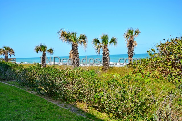 Silver Palm Condo Indialantic FL Terry Palmiter