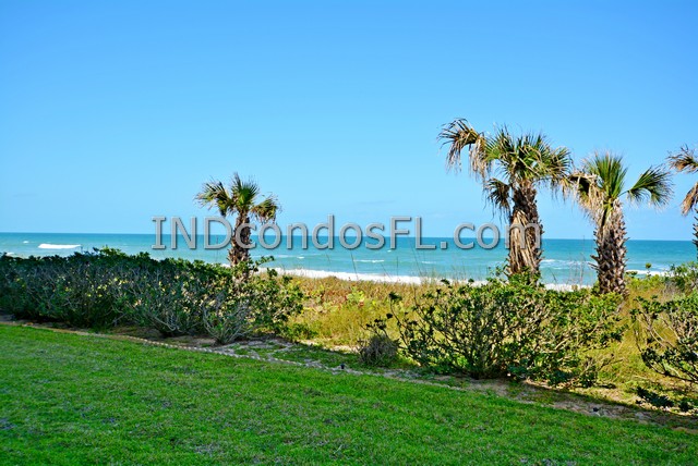 Silver Palm Condo Indialantic FL Terry Palmiter