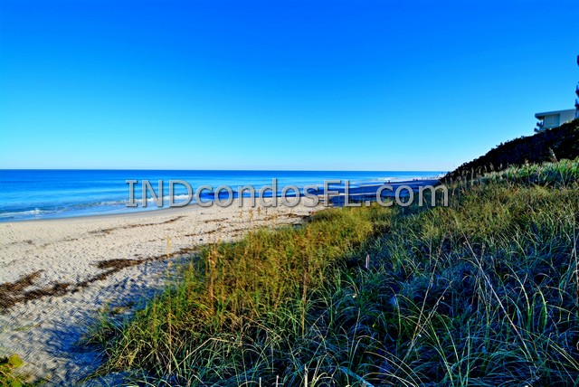 Silver Palm Condo Indialantic FL Terry Palmiter