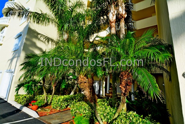 Vizcaya Condo Indialantic FL Terry Palmiter