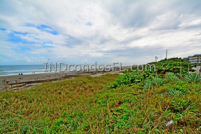 Wavecrester Condo Indialantic FL Terry Palmiter