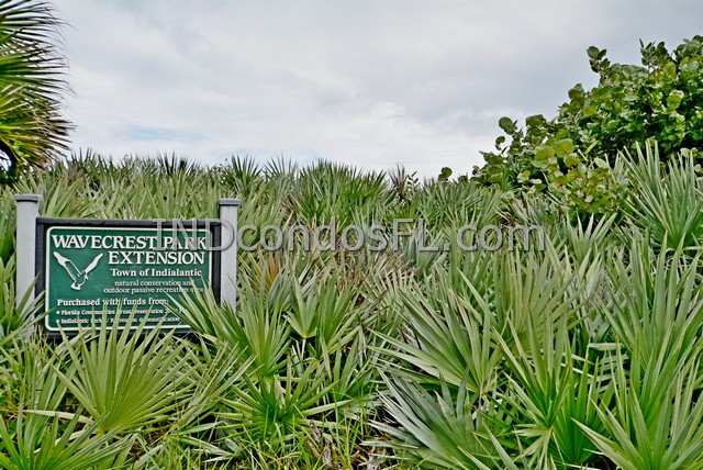 Wavecrester Condo Indialantic FL Terry Palmiter