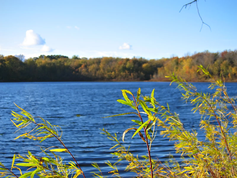 300 Acres Waterfront Property Southwest Michigan