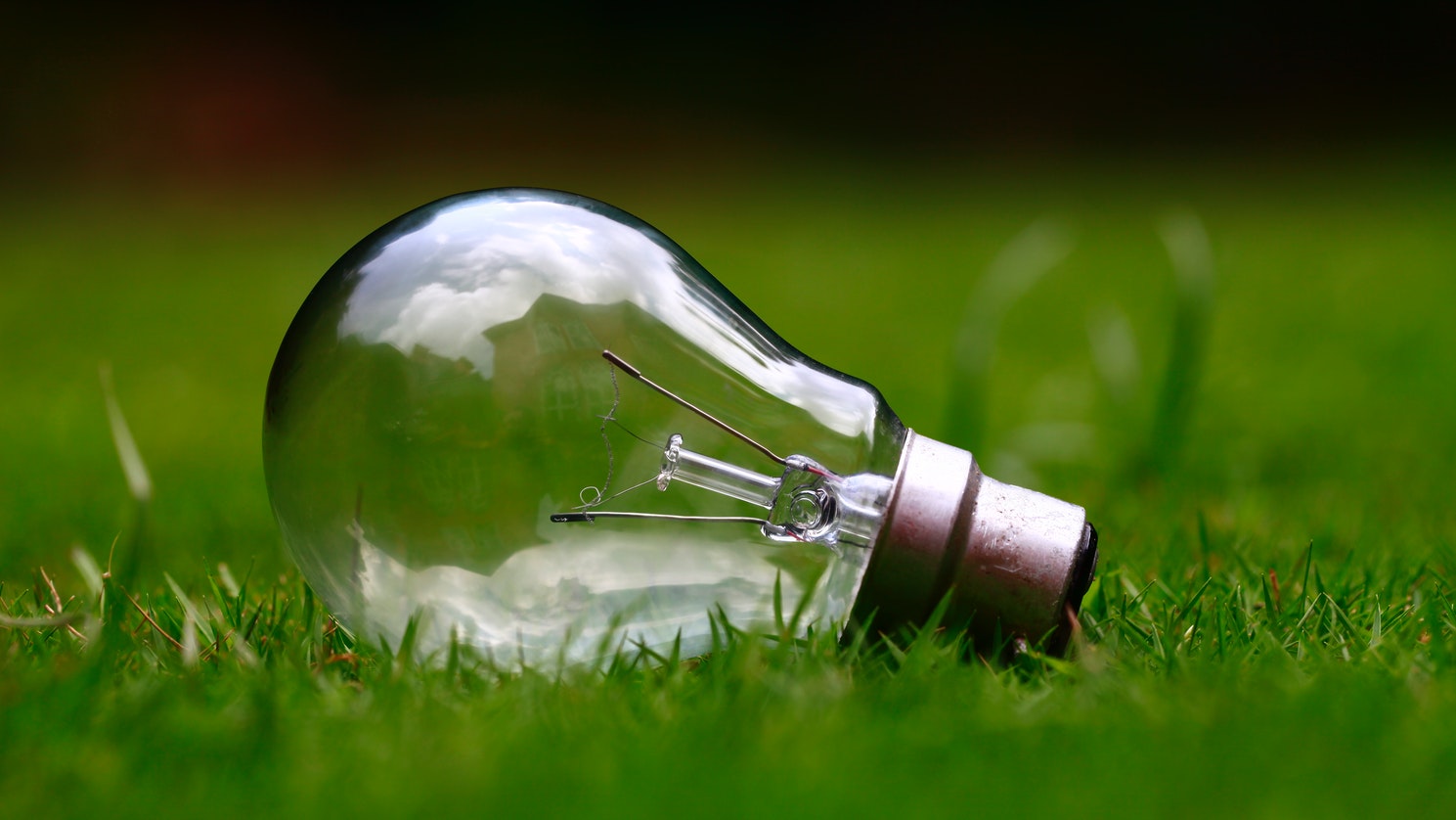 A lightbulb sitting in grass.