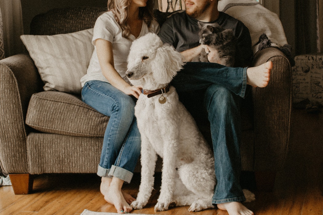 A man and a woman sitting on a couch with a dog and a cat.