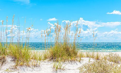 Indian Rocks Beach Real Estate
