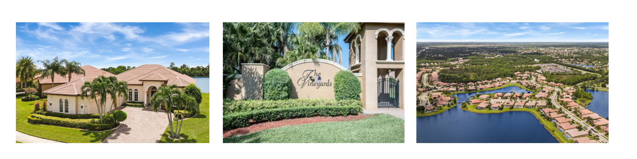 The Vineyards Port St Lucie Gated Community Homes For Sale