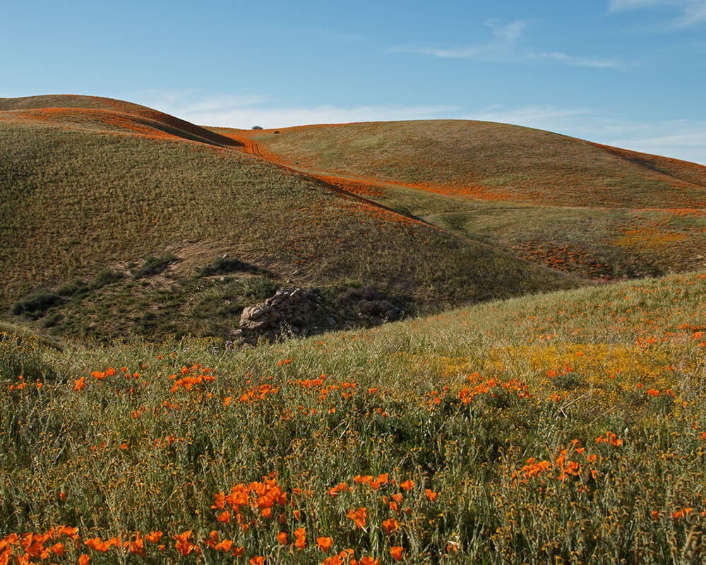 Southern California Real Estate Southern California Homes for Sale