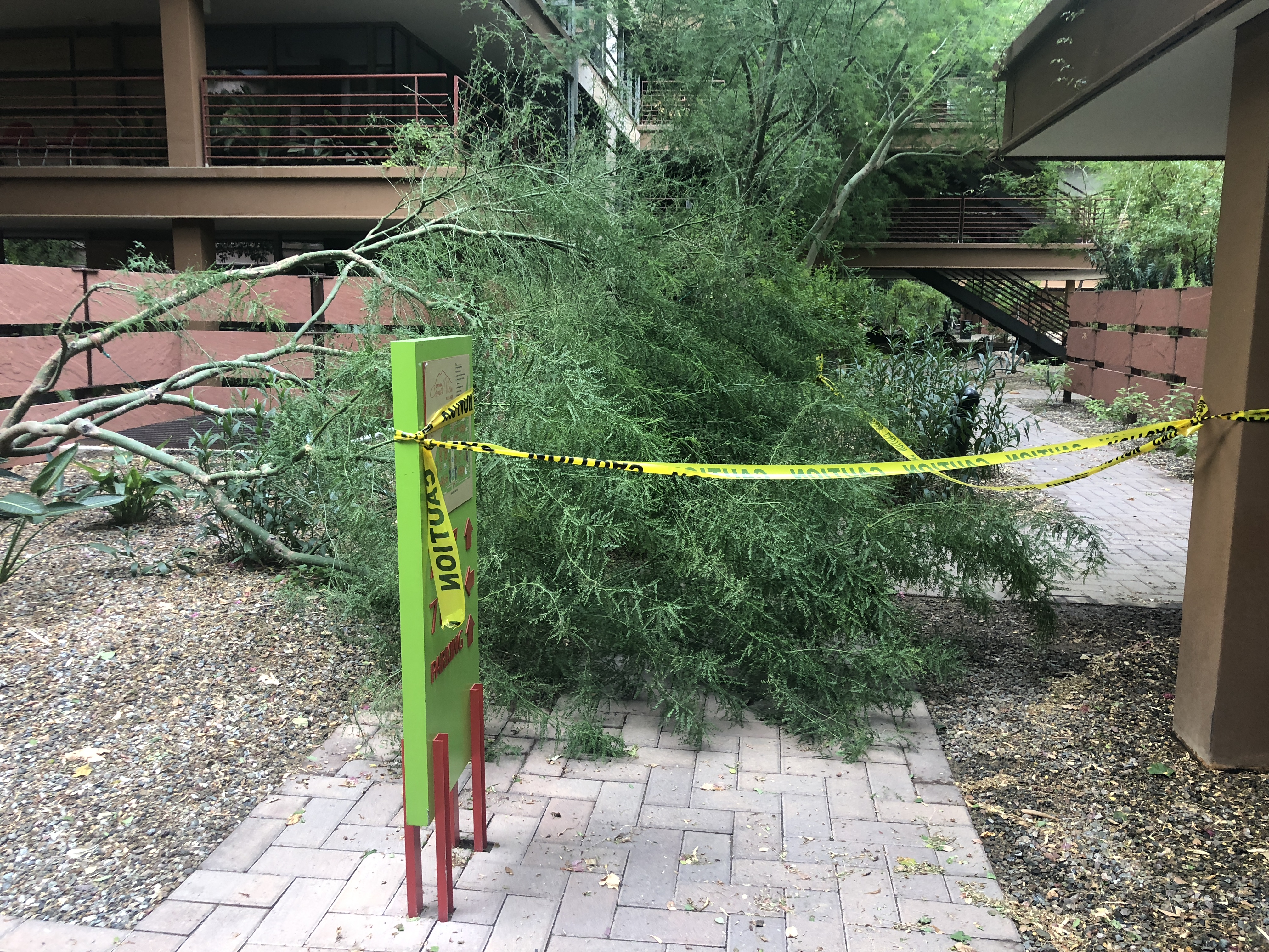 Optima Tree Down