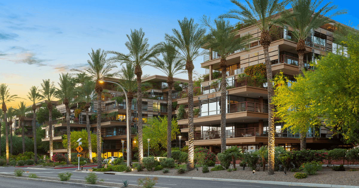 Optima Camelview