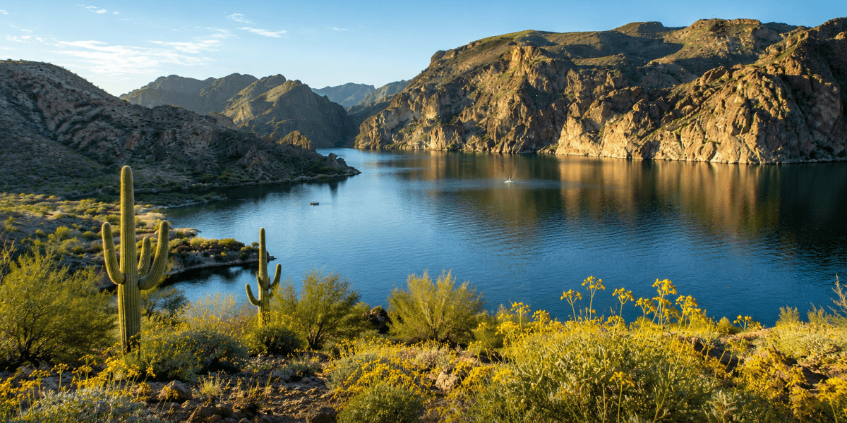 saguaro lake near mesa active adult communities